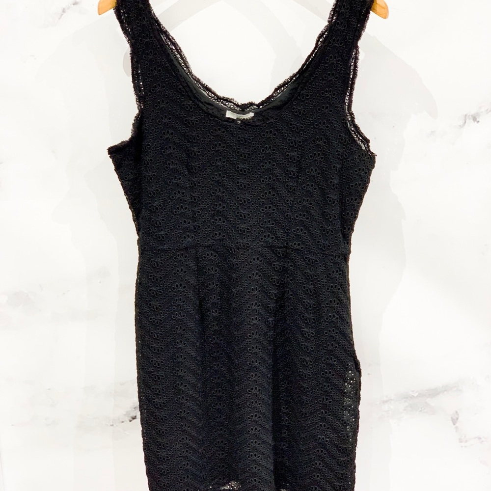 Joie Rori B Lace Dress